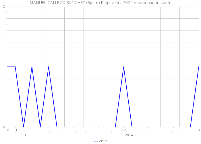 MANUEL GALLEGO SANCHEZ (Spain) Page visits 2024 