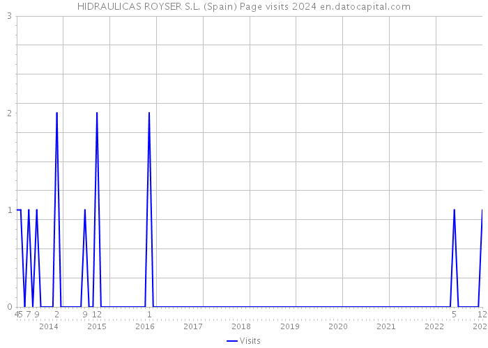 HIDRAULICAS ROYSER S.L. (Spain) Page visits 2024 