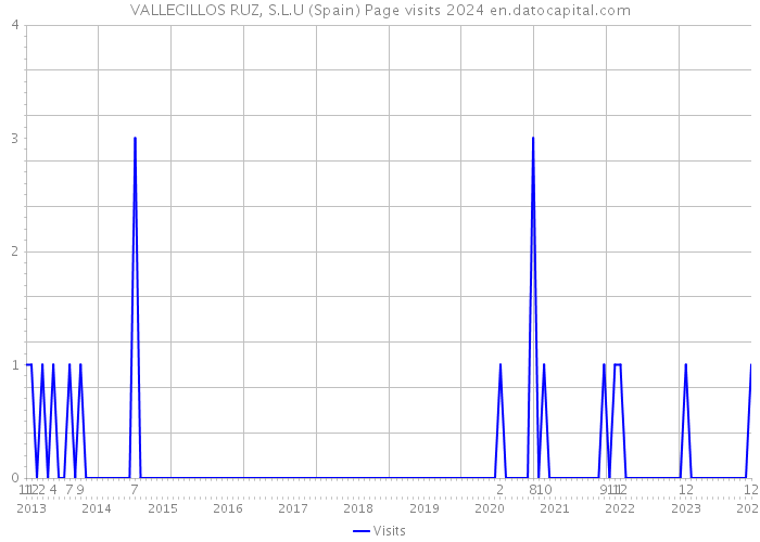 VALLECILLOS RUZ, S.L.U (Spain) Page visits 2024 