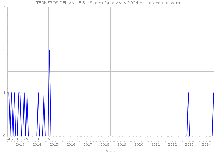 TERNEROS DEL VALLE SL (Spain) Page visits 2024 