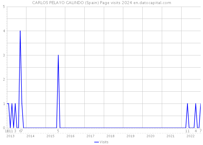 CARLOS PELAYO GALINDO (Spain) Page visits 2024 