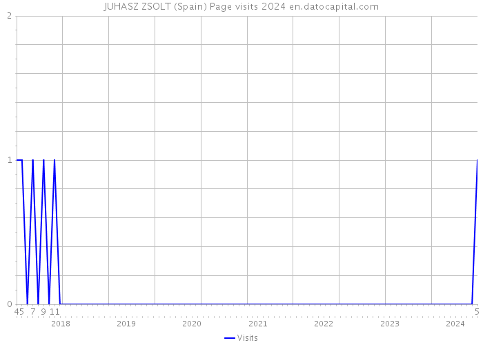 JUHASZ ZSOLT (Spain) Page visits 2024 