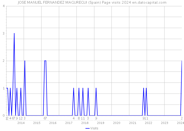 JOSE MANUEL FERNANDEZ MAGUREGUI (Spain) Page visits 2024 