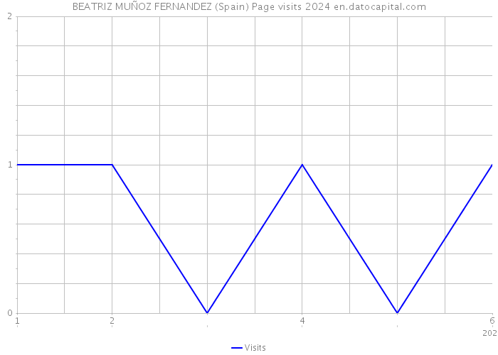 BEATRIZ MUÑOZ FERNANDEZ (Spain) Page visits 2024 