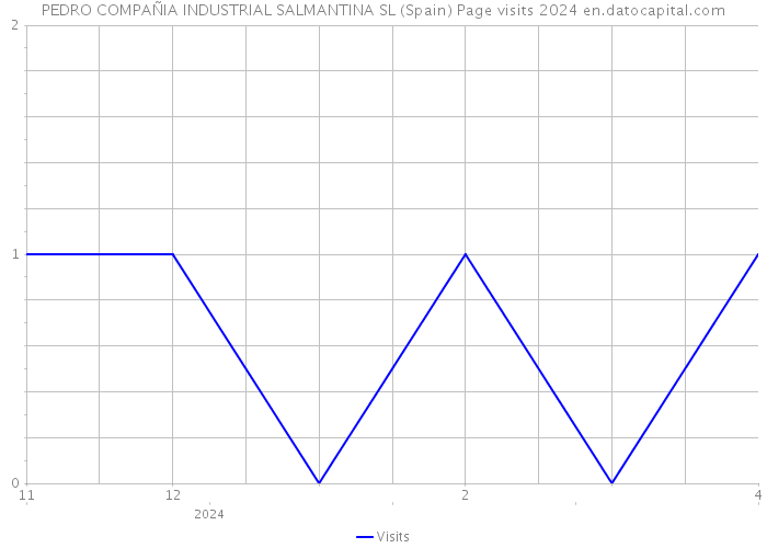 PEDRO COMPAÑIA INDUSTRIAL SALMANTINA SL (Spain) Page visits 2024 