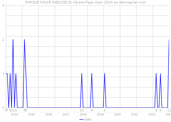 PARQUE SOLAR SAELICES SL (Spain) Page visits 2024 