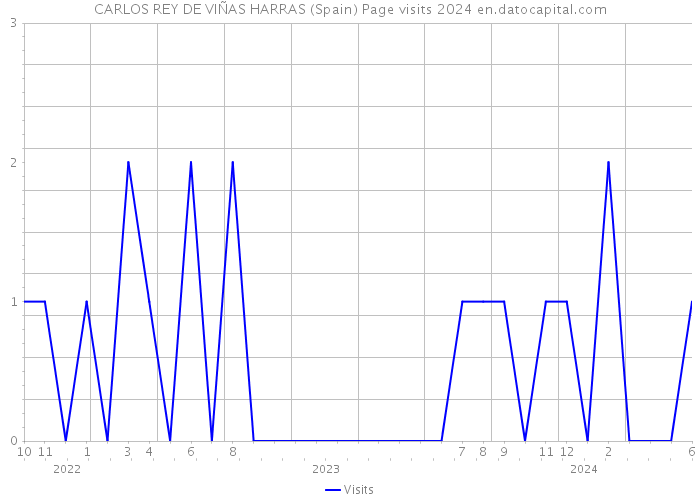 CARLOS REY DE VIÑAS HARRAS (Spain) Page visits 2024 