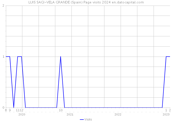 LUIS SAGI-VELA GRANDE (Spain) Page visits 2024 