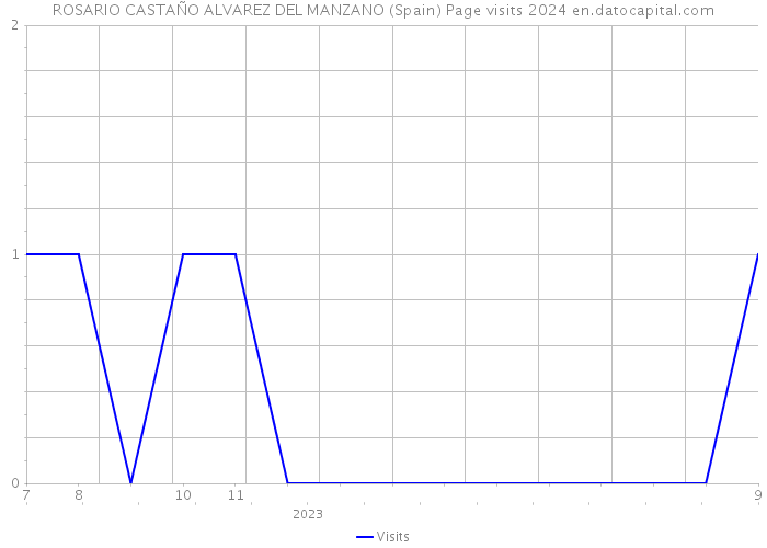 ROSARIO CASTAÑO ALVAREZ DEL MANZANO (Spain) Page visits 2024 