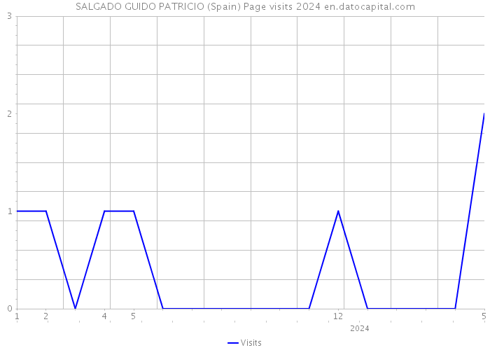 SALGADO GUIDO PATRICIO (Spain) Page visits 2024 