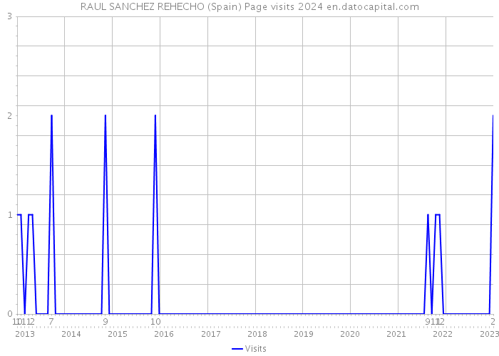 RAUL SANCHEZ REHECHO (Spain) Page visits 2024 