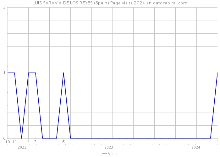 LUIS SARAVIA DE LOS REYES (Spain) Page visits 2024 