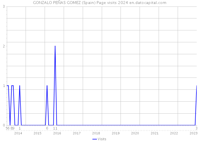 GONZALO PEÑAS GOMEZ (Spain) Page visits 2024 