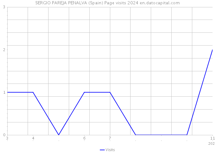 SERGIO PAREJA PENALVA (Spain) Page visits 2024 
