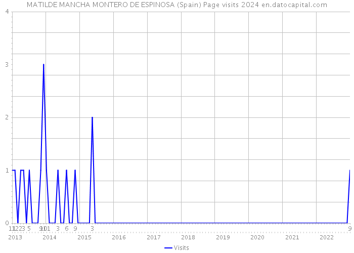 MATILDE MANCHA MONTERO DE ESPINOSA (Spain) Page visits 2024 