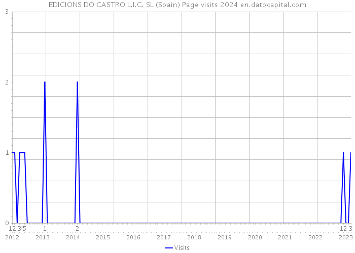 EDICIONS DO CASTRO L.I.C. SL (Spain) Page visits 2024 