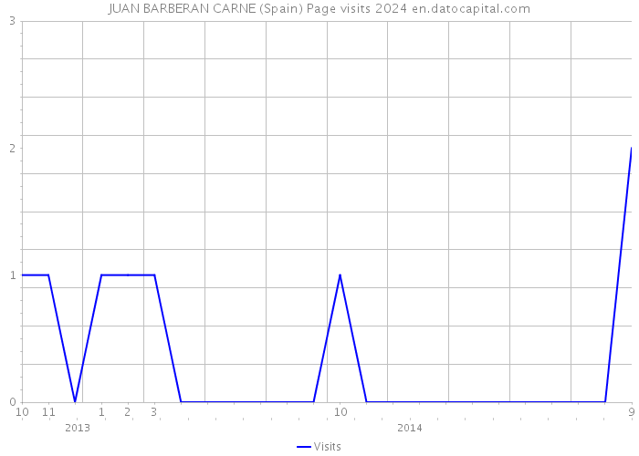 JUAN BARBERAN CARNE (Spain) Page visits 2024 