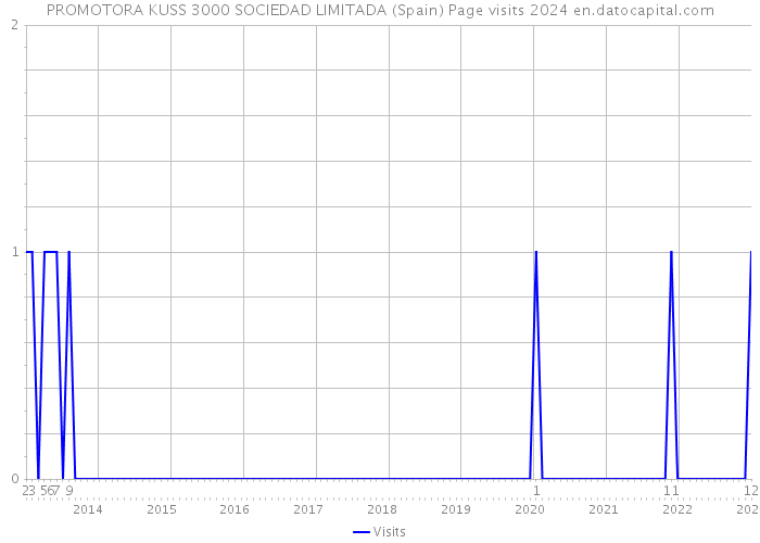 PROMOTORA KUSS 3000 SOCIEDAD LIMITADA (Spain) Page visits 2024 