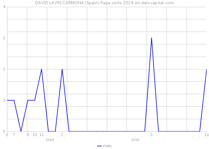 DAVID LAVIN CARMONA (Spain) Page visits 2024 