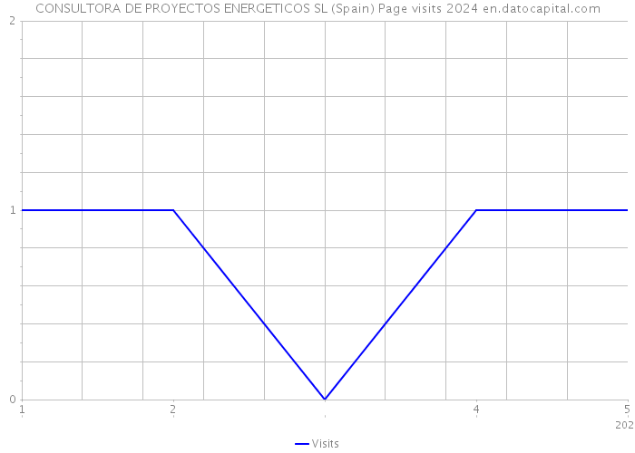 CONSULTORA DE PROYECTOS ENERGETICOS SL (Spain) Page visits 2024 