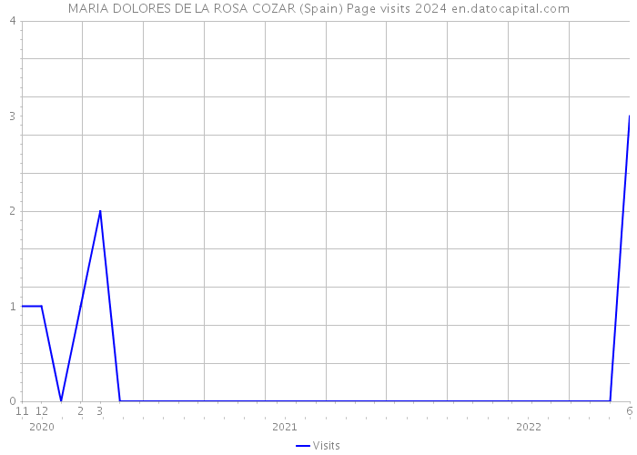 MARIA DOLORES DE LA ROSA COZAR (Spain) Page visits 2024 
