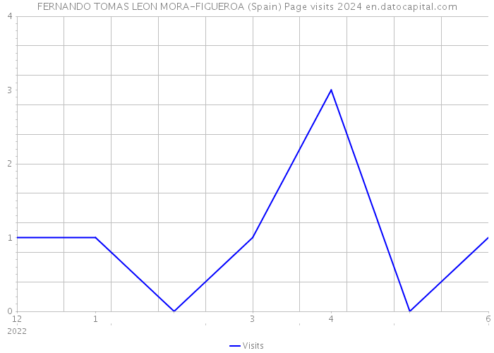 FERNANDO TOMAS LEON MORA-FIGUEROA (Spain) Page visits 2024 