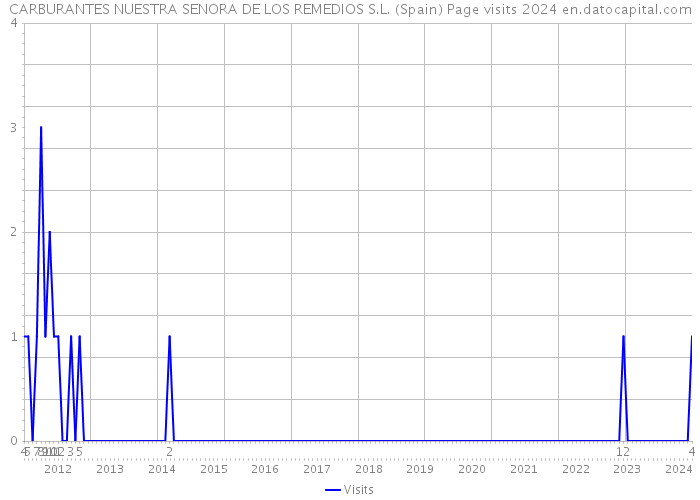 CARBURANTES NUESTRA SENORA DE LOS REMEDIOS S.L. (Spain) Page visits 2024 