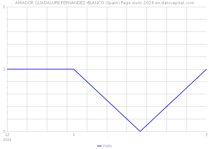 AMADOR GUADALUPE FERNANDEZ-BLANCO (Spain) Page visits 2024 