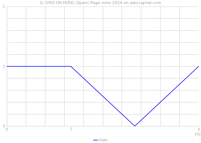 IL CHOI OH HONG (Spain) Page visits 2024 