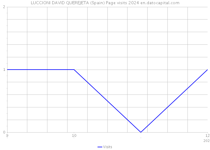 LUCCIONI DAVID QUEREJETA (Spain) Page visits 2024 