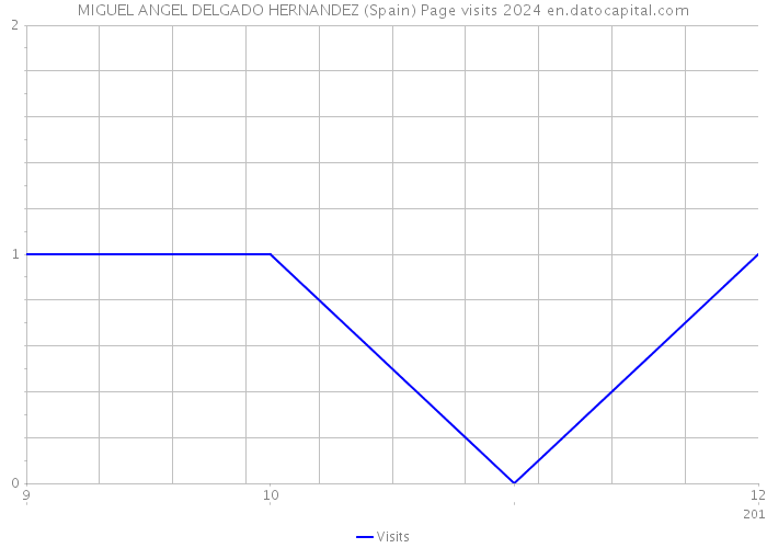 MIGUEL ANGEL DELGADO HERNANDEZ (Spain) Page visits 2024 