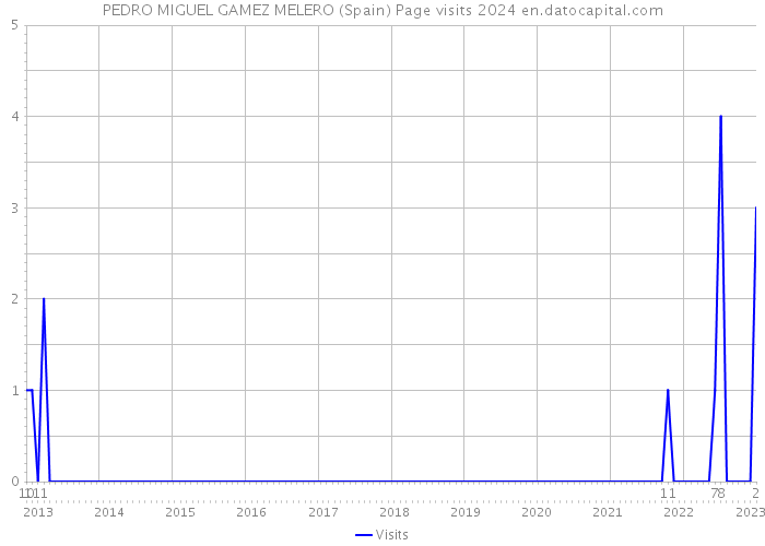 PEDRO MIGUEL GAMEZ MELERO (Spain) Page visits 2024 