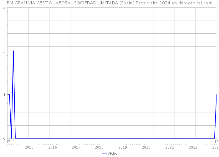 RM GRAN VIA GESTIO LABORAL SOCIEDAD LIMITADA (Spain) Page visits 2024 