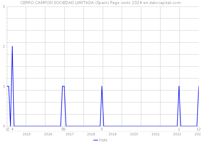 CERRO CAMPON SOCIEDAD LIMITADA (Spain) Page visits 2024 