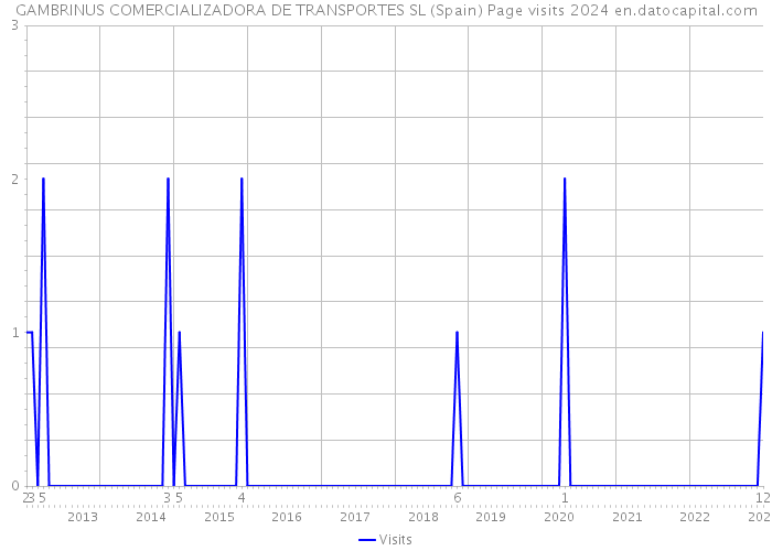 GAMBRINUS COMERCIALIZADORA DE TRANSPORTES SL (Spain) Page visits 2024 