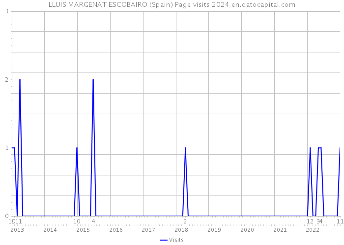 LLUIS MARGENAT ESCOBAIRO (Spain) Page visits 2024 