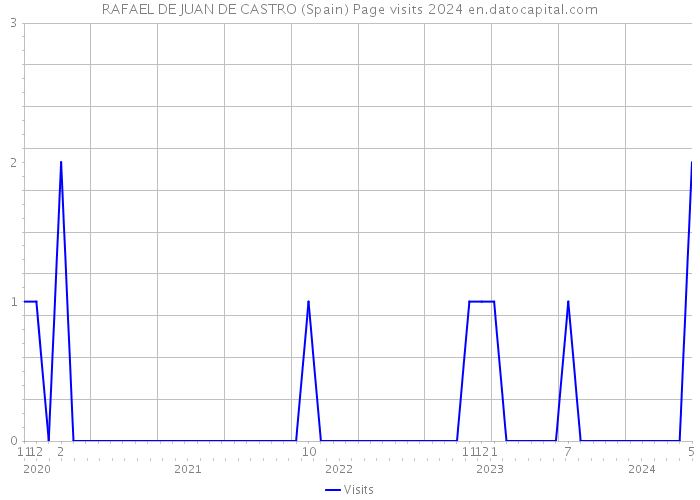 RAFAEL DE JUAN DE CASTRO (Spain) Page visits 2024 