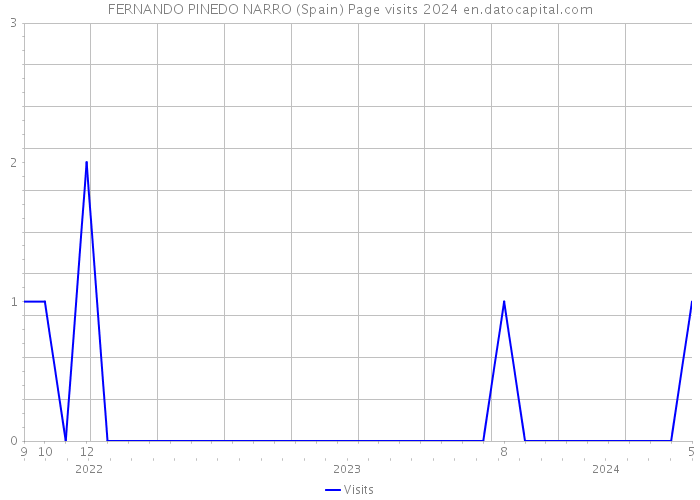 FERNANDO PINEDO NARRO (Spain) Page visits 2024 
