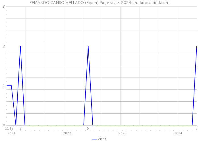 FEMANDO GANSO MELLADO (Spain) Page visits 2024 