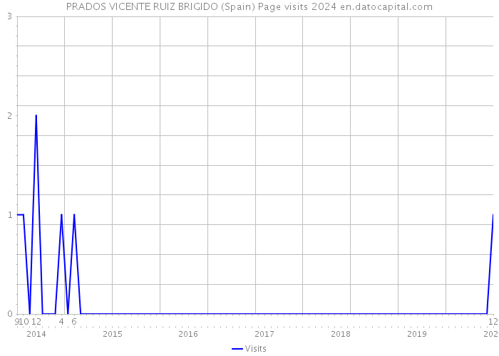 PRADOS VICENTE RUIZ BRIGIDO (Spain) Page visits 2024 