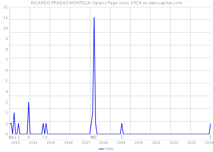 RICARDO PRADAS MONTILLA (Spain) Page visits 2024 