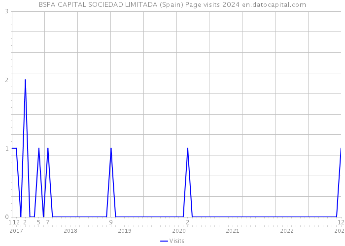 BSPA CAPITAL SOCIEDAD LIMITADA (Spain) Page visits 2024 