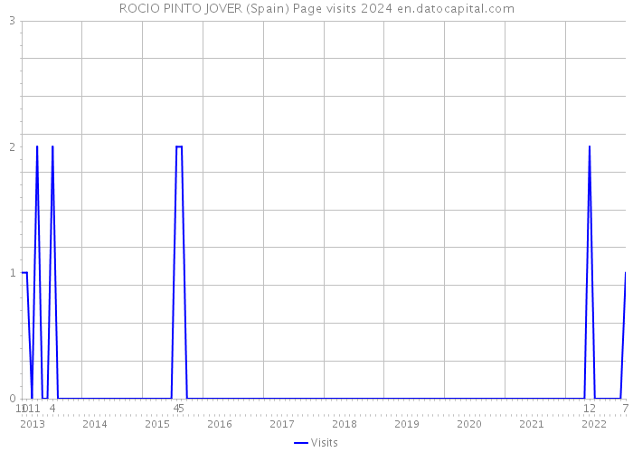ROCIO PINTO JOVER (Spain) Page visits 2024 