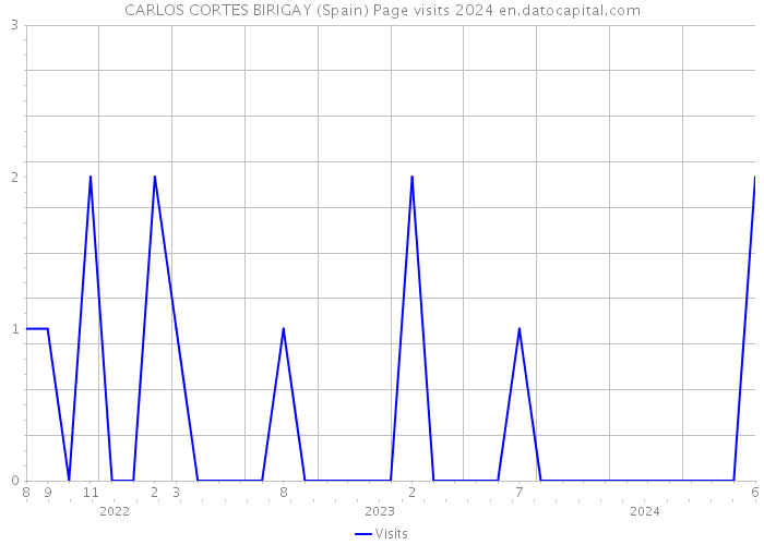 CARLOS CORTES BIRIGAY (Spain) Page visits 2024 
