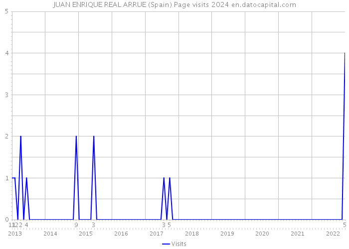 JUAN ENRIQUE REAL ARRUE (Spain) Page visits 2024 