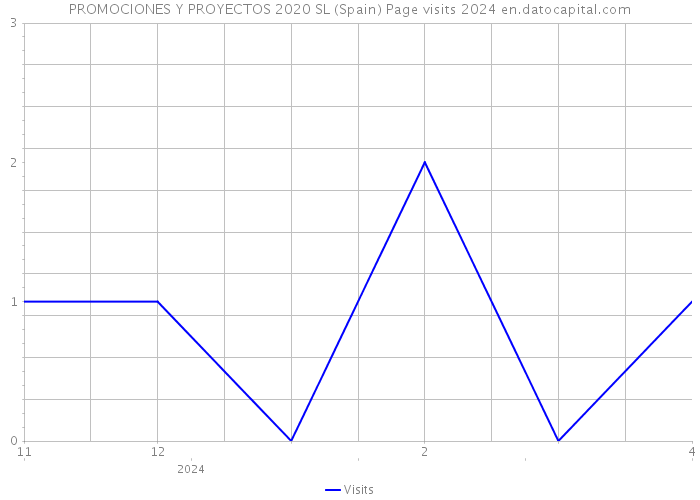 PROMOCIONES Y PROYECTOS 2020 SL (Spain) Page visits 2024 