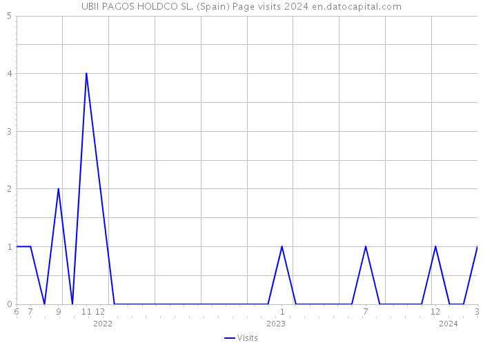 UBII PAGOS HOLDCO SL. (Spain) Page visits 2024 