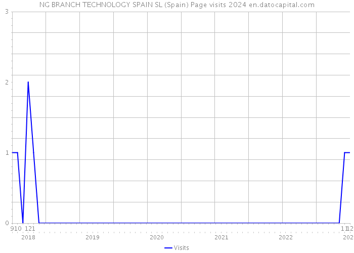 NG BRANCH TECHNOLOGY SPAIN SL (Spain) Page visits 2024 