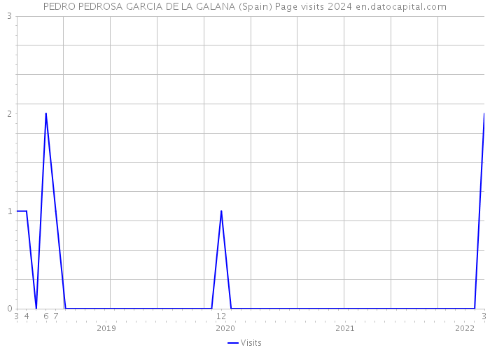 PEDRO PEDROSA GARCIA DE LA GALANA (Spain) Page visits 2024 