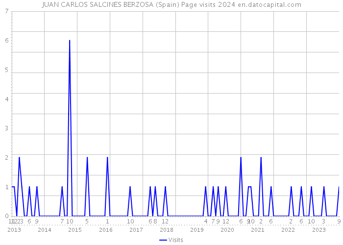 JUAN CARLOS SALCINES BERZOSA (Spain) Page visits 2024 